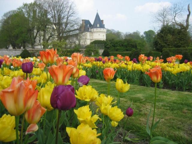 Le Refuge De Normandie Avec Spa Et Cheminee Mesnieres-en-Bray Buitenkant foto